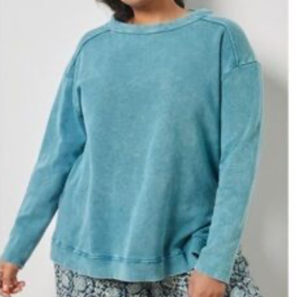 Pilcro Anthropologie Imogen Seamed Tunic sun-washed blue small sweatshirt